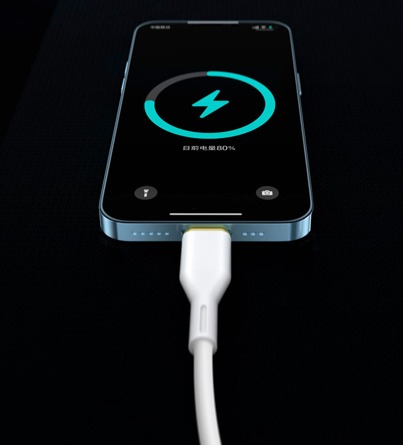 iPhone Lightning 数据线 1 件装 3.3 英尺 USB 充电线高速传输线兼容 iPhone 14/13/12/11 Pro Max/XS MAX/XR/XS/X/8/iPad